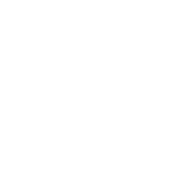 图标